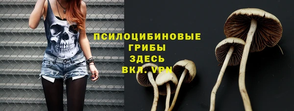 ALPHA PVP Новозыбков