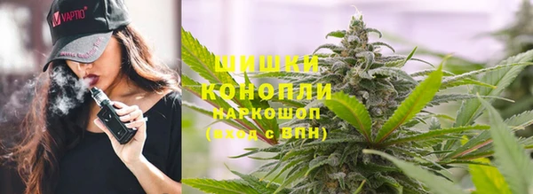 ALPHA PVP Новозыбков
