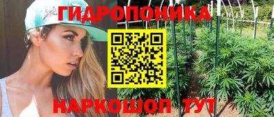 ГАЛЛЮЦИНОГЕННЫЕ ГРИБЫ Кинель
