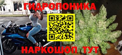 ГАЛЛЮЦИНОГЕННЫЕ ГРИБЫ Кинель