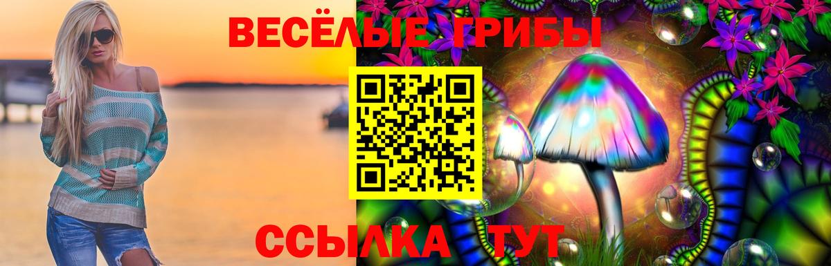 Галлюциногенные грибы MAGIC MUSHROOMS  Вход с VPN  Барабинск 